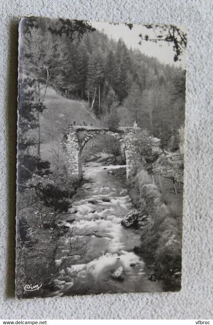 D722, Cpsm, Saint Sauveur la Sagne, le vieux pont et la Dore, Puy de Dôme 63