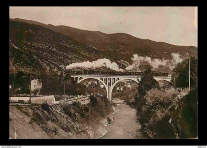 66 - Amélie les Bains - Le Pont sur le Tech - Route de Céret - Trains - CPSM format CPA - Oblitération de 1938 - Voir Sc