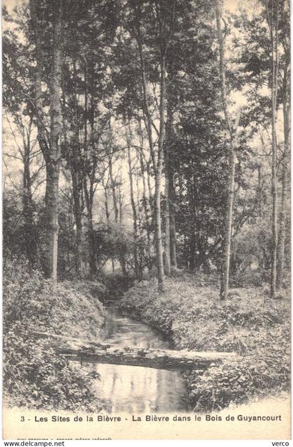 Carte POSTALE  Ancienne de  LA  BIEVRE dans les Bois de GUYANCOURT