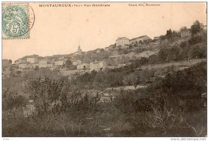 MONTAUROUX VUE GENERALE