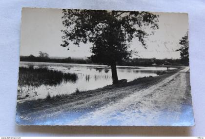 Cpm 1959, Chevillon, l'étang neuf, Yonne 89