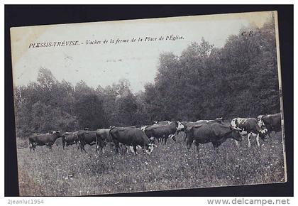 LE PLESSIS TREVISE FEMRE VACHES