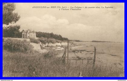 * Angoulins sur Mer * Falaises * Sapinière * Chatelaillon