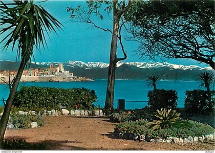 06 - Antibes - Le Vieille ville au fond les Alpes neigeues - CPM - Carte Neuve - Voir Scans Recto-Verso