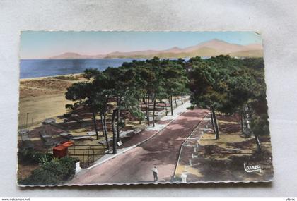 Cpsm 1961, Argeles sur mer, le bord de mer, les Albères, Pyrénées Orientales 66