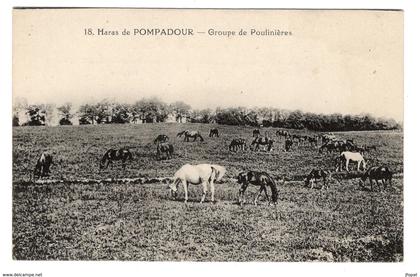 19 CORREZE - ARNAC POMPADOUR Groupe de Poulinières