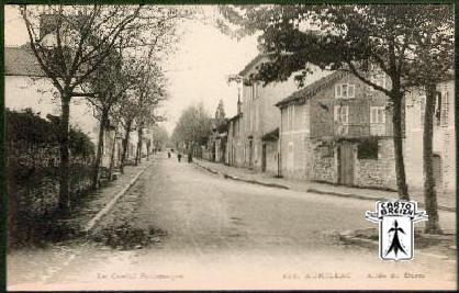 15 Aurillac - 123. AURILLAC - Allée du Barra - cpa