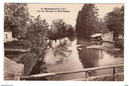 91 ESSONNE - BALLANCOURT vue sur l'Essonne au Petit Saussay