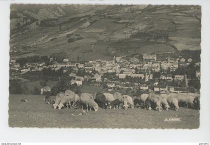 BARCELONNETTE - Vue générale (troupeau de moutons)