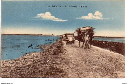 Beauvoir sur Mer : Le goa