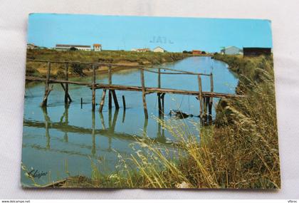 Cpm 1972, Beauvoir sur mer, Polder, Vendée 85