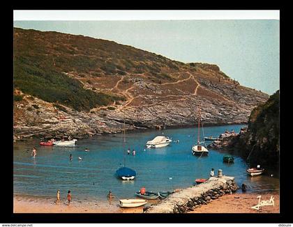 56 - Belle Ile en Mer - CPM - Voir Scans Recto-Verso