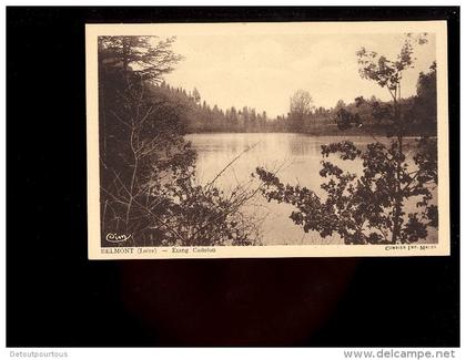 BELMONT DE LA LOIRE Loire 42 : l'étang de Cadolon