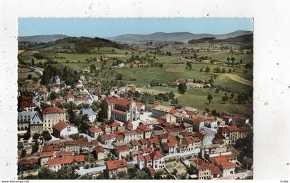 BELMONT-DE-LA-LOIRE  VUE AERIENNE