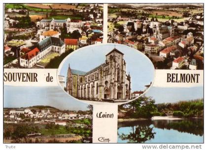 SOUVENIR DE BELMONT DE LA LOIRE MULTIVUES