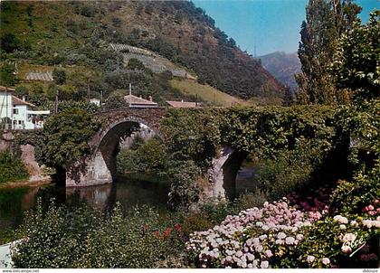 64 - Bidarray - Le Vieux Pont - Fleurs - CPM - Voir Scans Recto-Verso