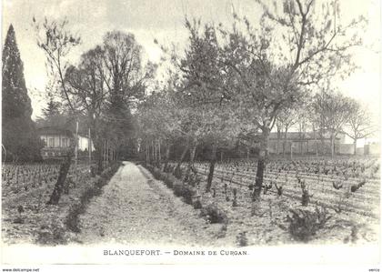 Carte POSTALE  Ancienne de  BLANQUEFORT - Domaine de Curgan