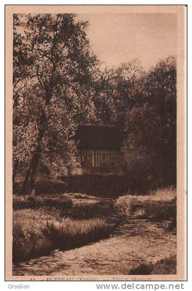 BLENEAU (YONNE)  11 VIEUX MOULIN