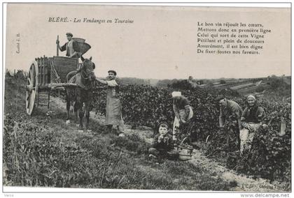 Carte Postale Ancienne de BLERE