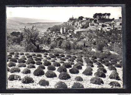 (13/06/24) 84-CPSM BONNIEUX