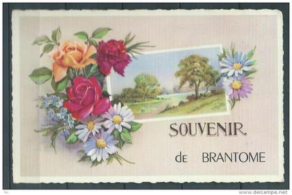 24 -  Souvenir de Brantome - Fleurs et Paysage - Colorée