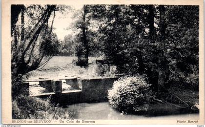 58 - BRINON sur BEUVRON -- Un coin du Beuvron