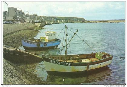 finistère :  CAMARET  sur  MER :   vue sur le  port (  bateau de pêche )