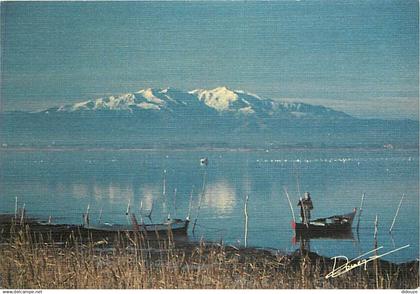 66 - Canet Plage - L'étang de Canet-St.-Nazaire et le Canigou (2785 m) - CPM - Voir Scans Recto-Verso