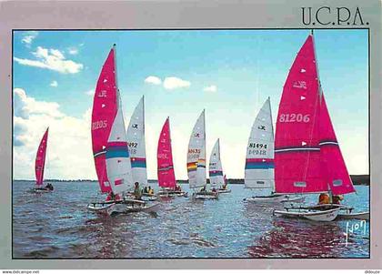 33 - Carcans - Maubuisson - Le Centre U.C.P.A de Bombannes - Catamarans - Voiles - CPM - Voir Scans Recto-Verso