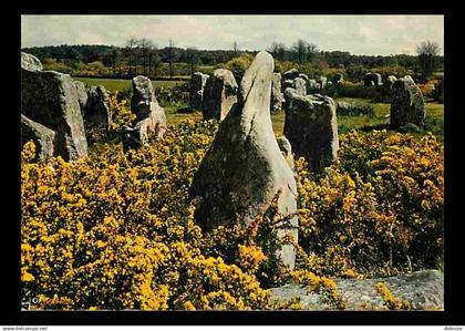 56 - Carnac - Monuments mégalithiques près de Carnac - Carte Neuve - CPM - Voir Scans Recto-Verso