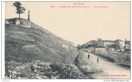 81 // CASTELNAU DE MONTMIRAIL    le Pech Miral  1015