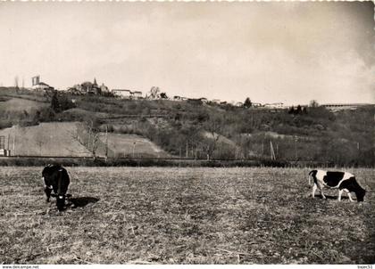 1 cpsm Castelnau rivière basse - vue générale