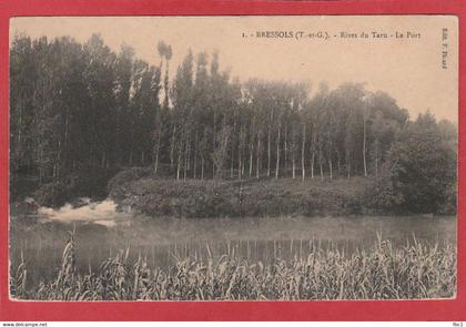 Tarn et Garonne - Bressols - Rives du Tarn - Le port