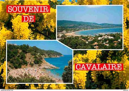 83 - Cavalaire sur Mer - Multivues - CPM - Voir Scans Recto-Verso