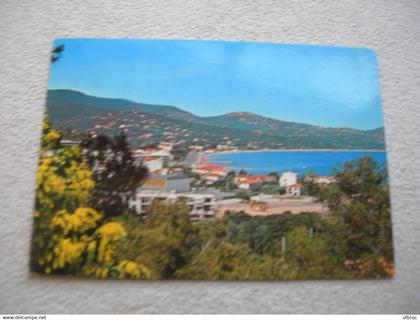 Cpm, Cavalaire sur mer, vue sur la plage, les parcs et la croix Valmer