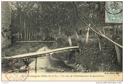 CERNAY la VILLE 78 - Etablissement de pisciculture