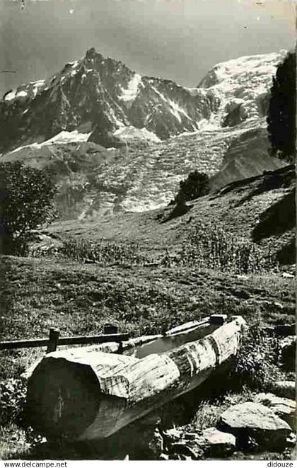 74 - Chamonix - Mont-Blanc - L'eau claire des Hautes Altitudes - L'Aiguille du Midi - Massif du Mont-Blanc - CPM - Voir