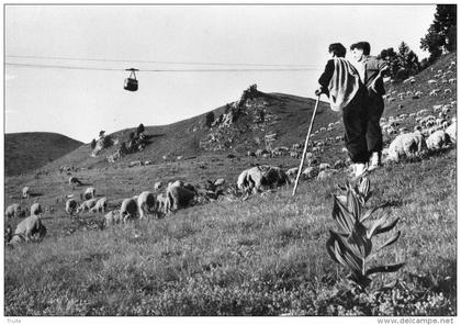 CHAMROUSSE LES BERGERS ET LEUR TROUPEAU DE MOUTONS