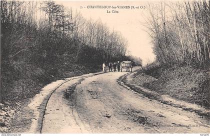 CHANTELOUP LES VIGNES - la Côte