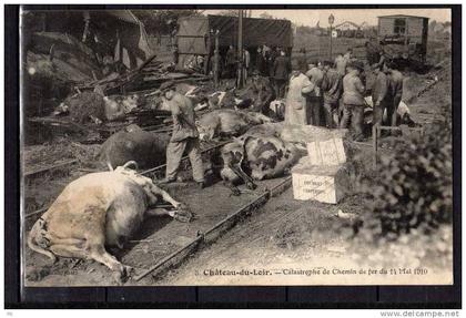 72 - Chateau-du-loir (sarthe) - Catastrophe du Chemin de Fer du 14 Mai 1910 - Vaches