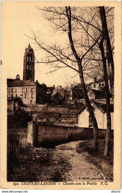 CPA CHATEAU-LANDON - Chemin dans la Prairie (249459)