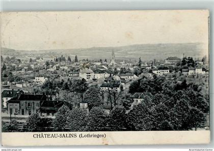 39480143 - Chateau-Salins