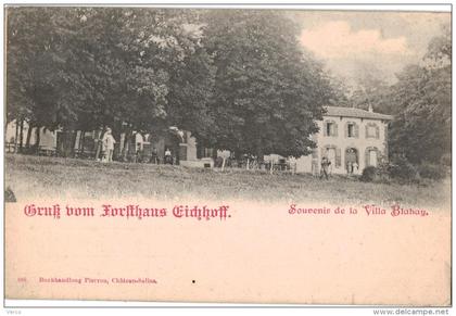 Carte Postale Ancienne de CHATEAU SALINS-Souvenir de la Villa  Blahay