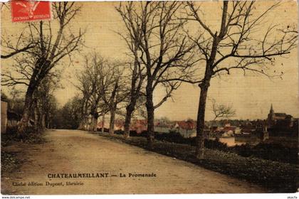 CPA Chateaumeillant - La Promenade (988748)