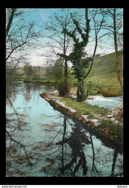 87 - Chateauneuf la Forêt - La Combade aux environs de Châteauneuf la Forêt - Carte Dentelée - CPSM grand format - Voir