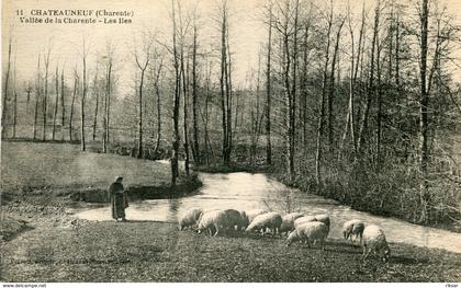 CHATEAUNEUF SUR CHARENTE(MOUTON)