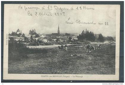 88 - Chatel-sur-Moselle (vosges) - Le Paturage