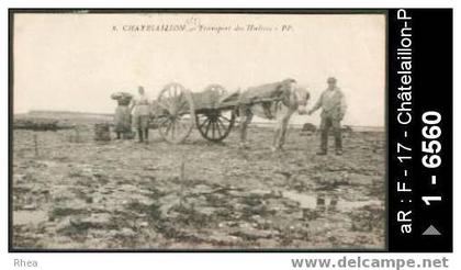 17 Châtelaillon-Plage - 8. CHATELAILLON - Transport des Huîtres - ostreiculture - ostreicultu /  D17D  K17028K  C17094C