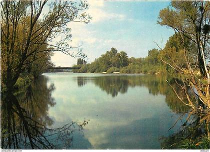 45 - Chatillon sur Loire - Les bords de la Loire - CPM - Voir Scans Recto-Verso