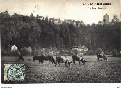 Carte postale ancienne de CHAUMONT